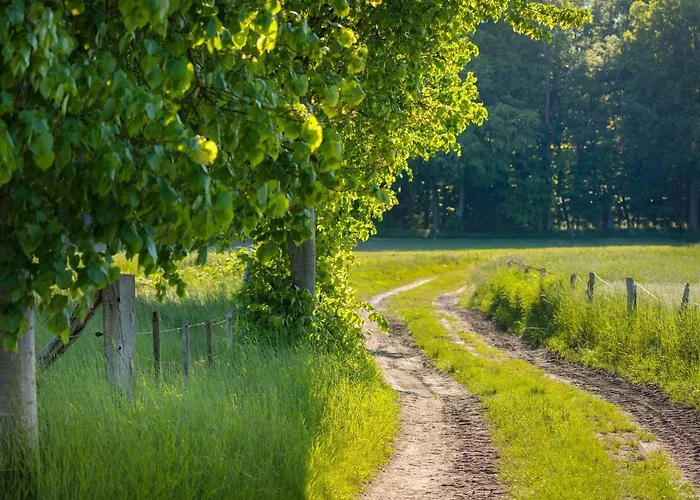 Kuschelzeit Mit Sauna アパート *